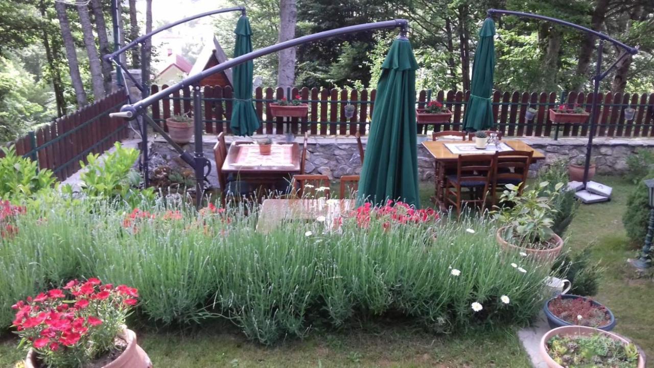 Restaurant And Apartments - T'Ga Za Jug Lazaropole Екстер'єр фото